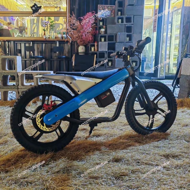 16 Inch Kids Electric Balance  - огляд і ціна Kids Ride On Suitcase Scooter